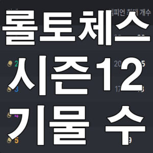 롤토체스 기물 개수